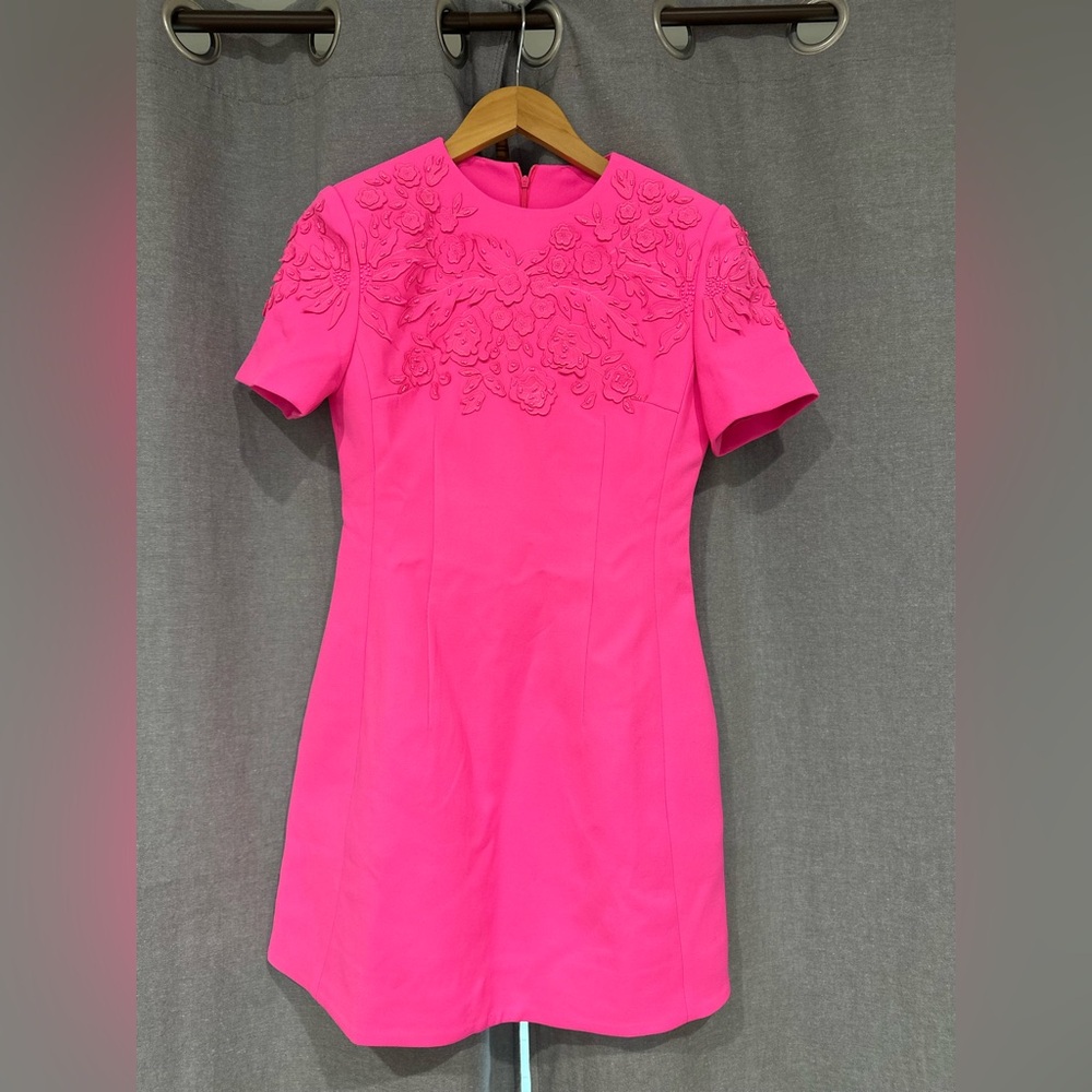 Pink Embroidered dress.